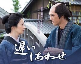 遲來的幸福 海報