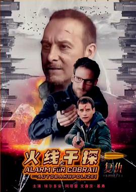 火線干探之復(fù)仇海報