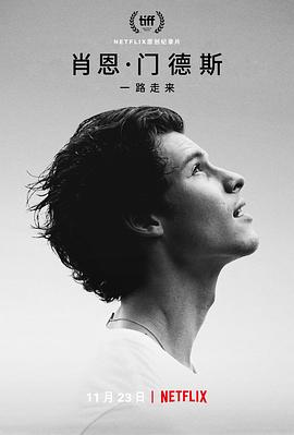 肖恩·門德斯：一路走來 海報