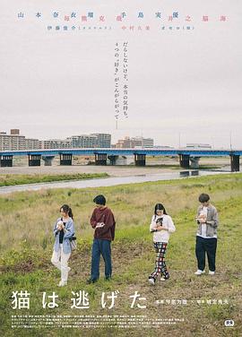 貓貓?zhí)幼吡?海報