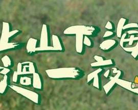 上山下海過一夜海報