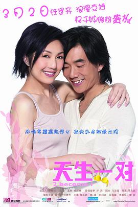 天生一對 海報
