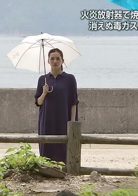 綾瀨遙傾聽戰(zhàn)爭從地圖上消失的秘密島嶼 海報