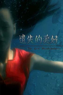 遺失的美好 海報(bào)