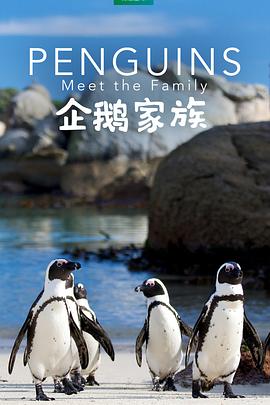 企鵝家族海報(bào)