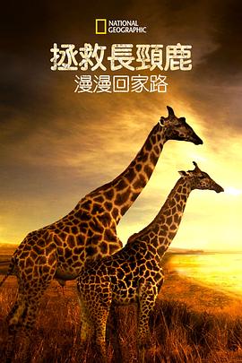 營(yíng)救長(zhǎng)頸鹿之漫漫歸途 海報(bào)
