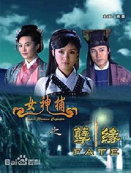 女神捕之孽緣 海報