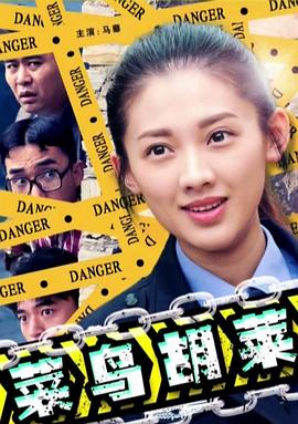 菜鳥胡萊 海報