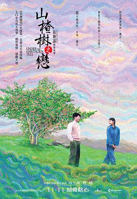 山楂樹(shù)之戀 海報(bào)