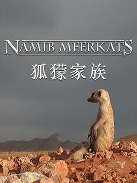 狐獴家族 海報(bào)