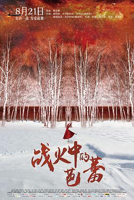 戰(zhàn)火中的芭蕾 海報