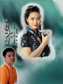 小白領(lǐng)大翻身 海報(bào)