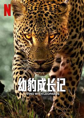 豹崽同行 海報