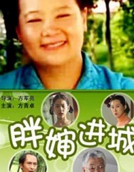 胖嬸進(jìn)城海報