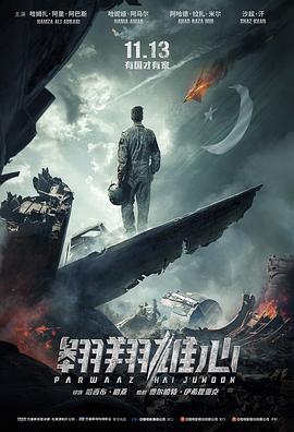 翱翔雄心 海報