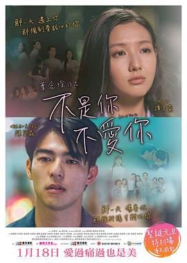 不是你不愛你 海報