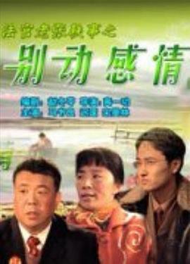 法官老張軼事之別動感情 海報