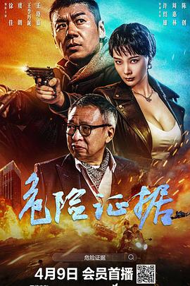 危險證據(jù)2024 海報