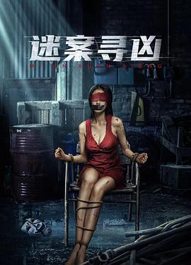 迷案尋兇 海報(bào)