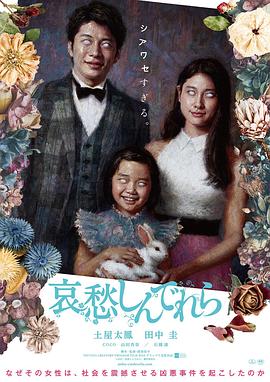哀愁灰姑娘 海報(bào)