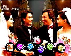 酒店奇遇結(jié)良緣 海報(bào)