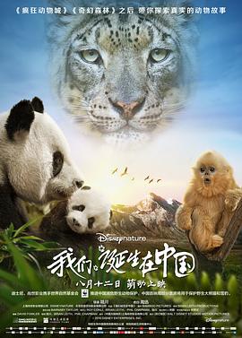 我們誕生在中國 海報