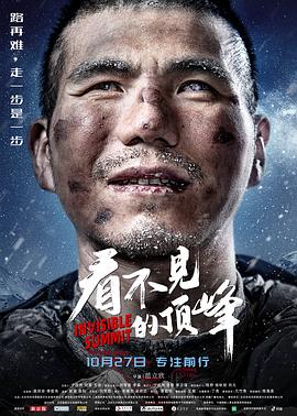 看不見的頂峰 海報