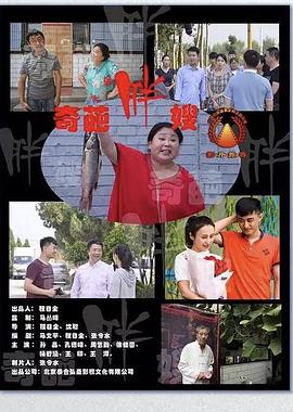 奇葩胖嫂 海報(bào)