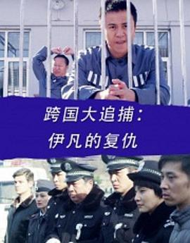 跨國大追捕：伊凡的復仇 海報