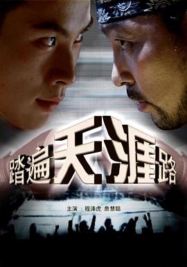 踏遍天涯路 海報