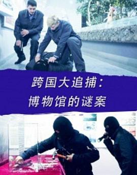 跨國大追捕:博物館的謎案海報