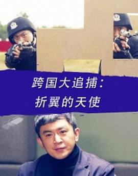 跨國大追捕：折翼的天使 海報(bào)