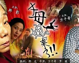 丈母娘來(lái)了 海報(bào)