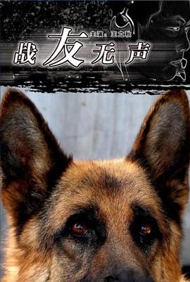戰(zhàn)友無聲 海報(bào)