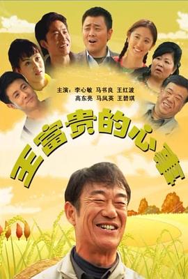 王富貴的心事 海報