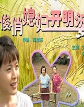 俊俏媳婦開明婆 海報