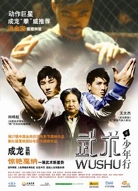 武術(shù)之少年行 海報(bào)