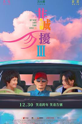 非誠(chéng)勿擾3 海報(bào)