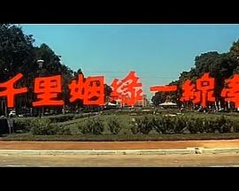千里姻緣一線牽海報(bào)