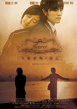 不能說(shuō)的秘密2007 海報(bào)