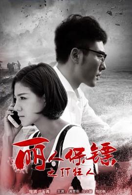 麗人保鏢之IT狂人 海報(bào)