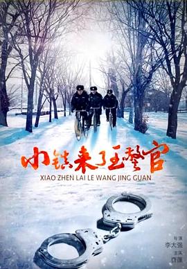 小鎮(zhèn)來了王警官 海報