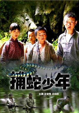 捕蛇少年 海報
