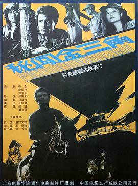 秘闖金三角 海報
