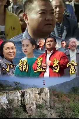 小鍋蓋當(dāng)官 海報