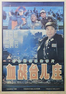 血戰(zhàn)臺兒莊海報