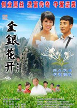 金銀花開(kāi) 海報(bào)
