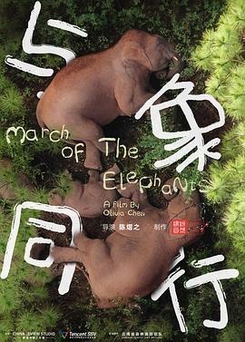 與象同行 海報