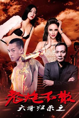 大哥歸來之老炮不散 海報(bào)