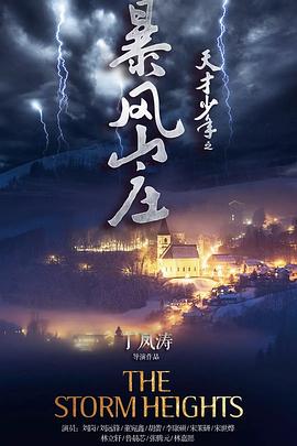 天才少年之暴風山莊 海報